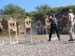 Tac-Pro 10 2005 (110)