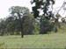 MVI_1606 002_0001