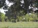 MVI_1606 004_0001