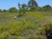 MVI_1611 003_0003