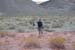 Nevada 16